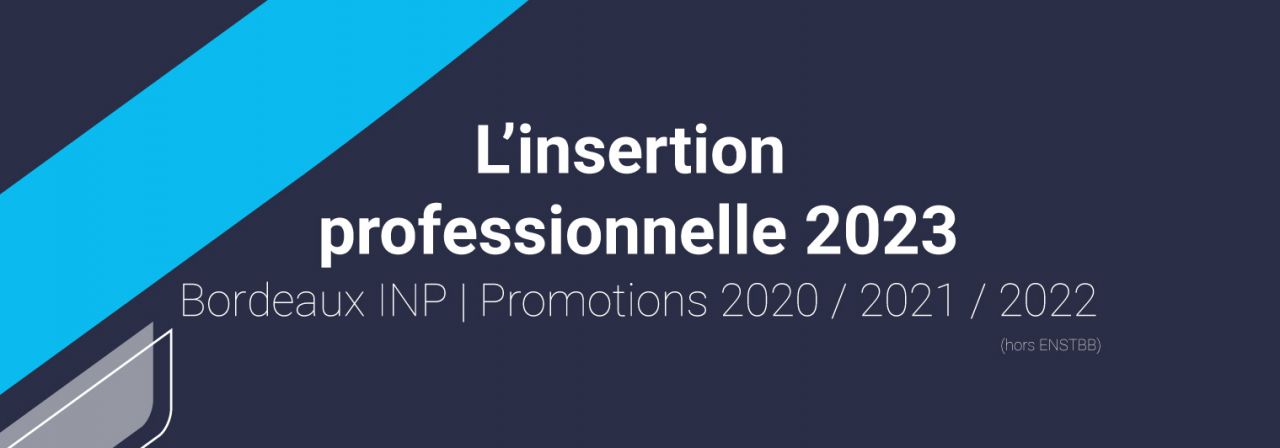 Infographie insertion professionnelle 2023