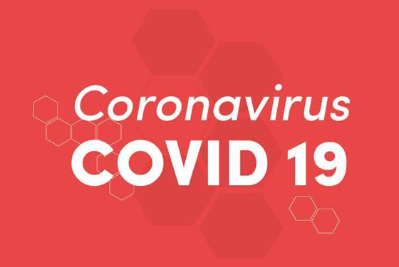 COVID 19 COVID 19