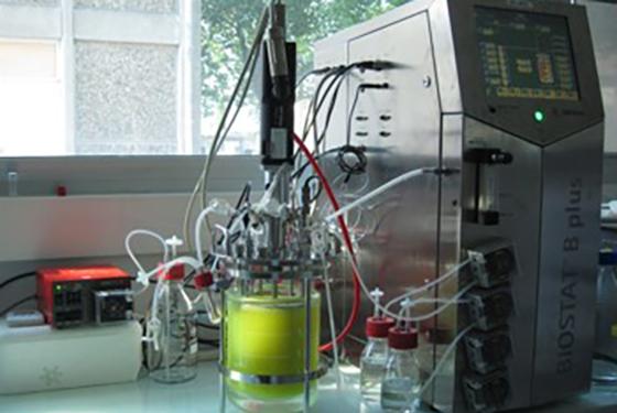 Formation en biotechnologie par la voie de l'apprentissage Formation en biotechnologie par la voie de l'apprentissage