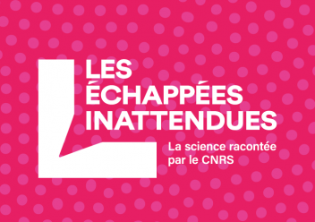 les échappés inattendues en blanc sur fond rose